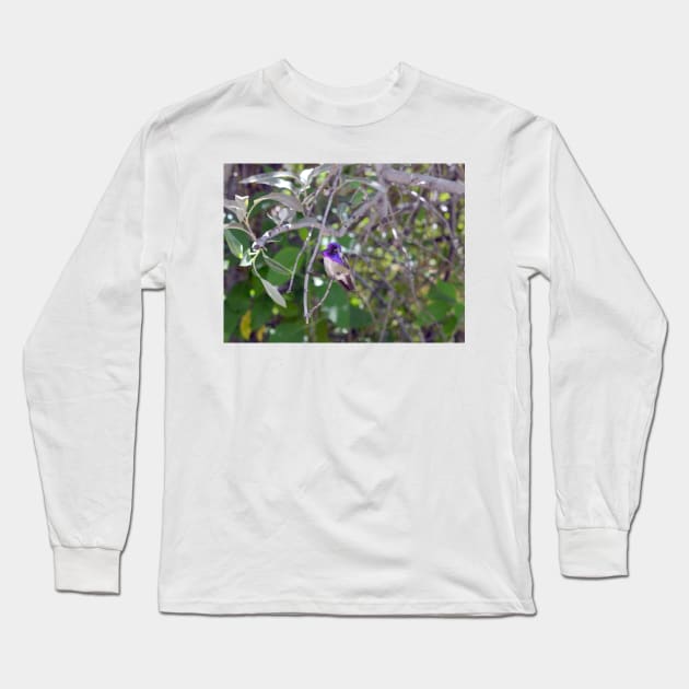 Purple Hummingbird Long Sleeve T-Shirt by Drgnfly4free